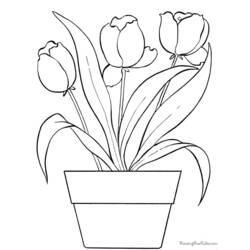 Malvorlage: Tulpe (Natur) #161661 - Kostenlose Malvorlagen zum Ausdrucken