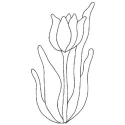 Malvorlage: Tulpe (Natur) #161677 - Kostenlose Malvorlagen zum Ausdrucken