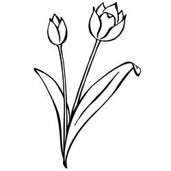 Malvorlage: Tulpe (Natur) #161697 - Kostenlose Malvorlagen zum Ausdrucken