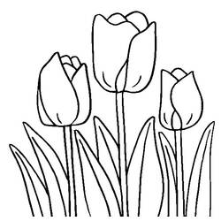 Malvorlage: Tulpe (Natur) #161701 - Kostenlose Malvorlagen zum Ausdrucken