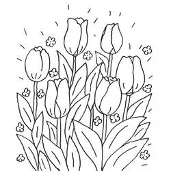 Malvorlage: Tulpe (Natur) #161702 - Kostenlose Malvorlagen zum Ausdrucken