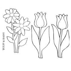 Malvorlage: Tulpe (Natur) #161704 - Kostenlose Malvorlagen zum Ausdrucken