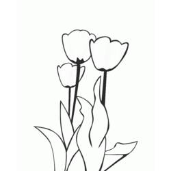 Malvorlage: Tulpe (Natur) #161707 - Kostenlose Malvorlagen zum Ausdrucken