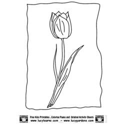 Malvorlage: Tulpe (Natur) #161712 - Kostenlose Malvorlagen zum Ausdrucken