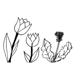 Malvorlage: Tulpe (Natur) #161713 - Kostenlose Malvorlagen zum Ausdrucken