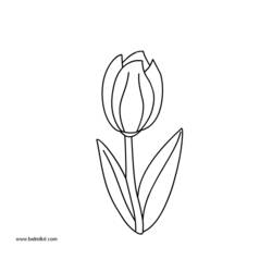 Malvorlage: Tulpe (Natur) #161723 - Kostenlose Malvorlagen zum Ausdrucken