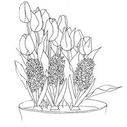 Malvorlage: Tulpe (Natur) #161724 - Kostenlose Malvorlagen zum Ausdrucken