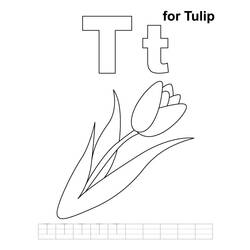 Malvorlage: Tulpe (Natur) #161725 - Kostenlose Malvorlagen zum Ausdrucken