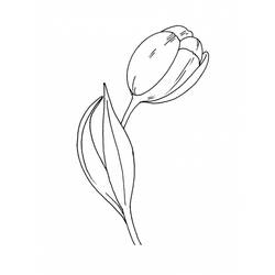 Malvorlage: Tulpe (Natur) #161732 - Kostenlose Malvorlagen zum Ausdrucken