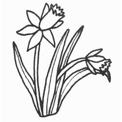 Malvorlage: Tulpe (Natur) #161759 - Kostenlose Malvorlagen zum Ausdrucken