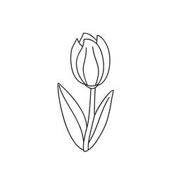 Malvorlage: Tulpe (Natur) #161767 - Kostenlose Malvorlagen zum Ausdrucken