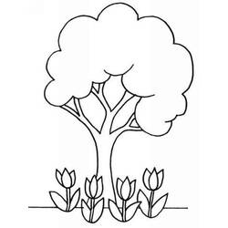 Malvorlage: Tulpe (Natur) #161772 - Kostenlose Malvorlagen zum Ausdrucken