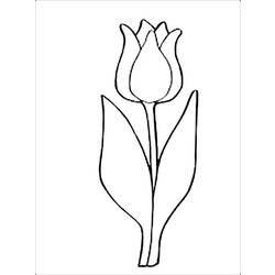 Malvorlage: Tulpe (Natur) #161791 - Kostenlose Malvorlagen zum Ausdrucken