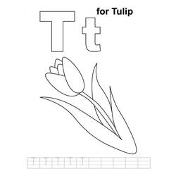 Malvorlage: Tulpe (Natur) #161796 - Kostenlose Malvorlagen zum Ausdrucken