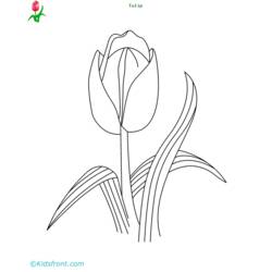 Malvorlage: Tulpe (Natur) #161797 - Kostenlose Malvorlagen zum Ausdrucken
