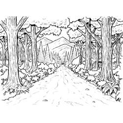 Zeichnungen zum Ausmalen: Wald - Kostenlose Malvorlagen zum Ausdrucken