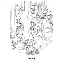 Malvorlage: Wald (Natur) #157057 - Kostenlose Malvorlagen zum Ausdrucken