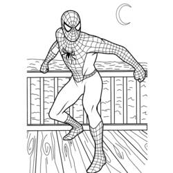 Malvorlage: Spider Man (Superheld) #78643 - Kostenlose Malvorlagen zum Ausdrucken