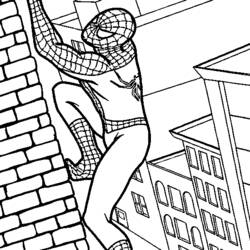 Malvorlage: Spider Man (Superheld) #78647 - Kostenlose Malvorlagen zum Ausdrucken
