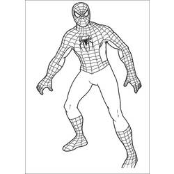 Malvorlage: Spider Man (Superheld) #78651 - Kostenlose Malvorlagen zum Ausdrucken
