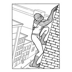 Malvorlage: Spider Man (Superheld) #78658 - Kostenlose Malvorlagen zum Ausdrucken