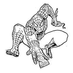 Malvorlage: Spider Man (Superheld) #78671 - Kostenlose Malvorlagen zum Ausdrucken