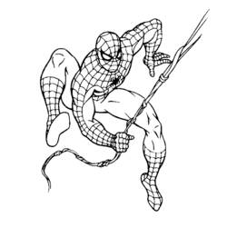 Malvorlage: Spider Man (Superheld) #78688 - Kostenlose Malvorlagen zum Ausdrucken