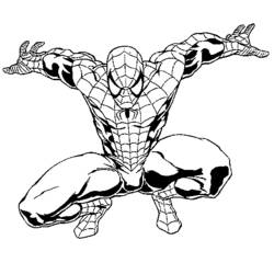 Malvorlage: Spider Man (Superheld) #78690 - Kostenlose Malvorlagen zum Ausdrucken
