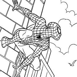 Malvorlage: Spider Man (Superheld) #78702 - Kostenlose Malvorlagen zum Ausdrucken