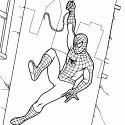Malvorlage: Spider Man (Superheld) #78704 - Kostenlose Malvorlagen zum Ausdrucken