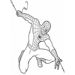 Malvorlage: Spider Man (Superheld) #78788 - Kostenlose Malvorlagen zum Ausdrucken
