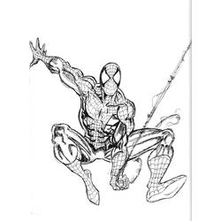 Malvorlage: Spider Man (Superheld) #78820 - Kostenlose Malvorlagen zum Ausdrucken