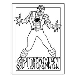 Malvorlage: Spider Man (Superheld) #78863 - Kostenlose Malvorlagen zum Ausdrucken