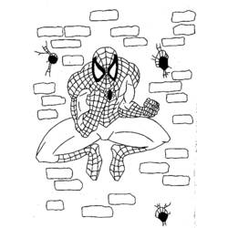 Malvorlage: Spider Man (Superheld) #78891 - Kostenlose Malvorlagen zum Ausdrucken