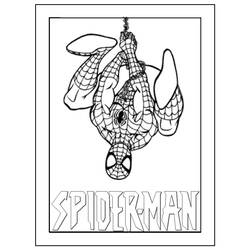 Malvorlage: Spider Man (Superheld) #78931 - Kostenlose Malvorlagen zum Ausdrucken