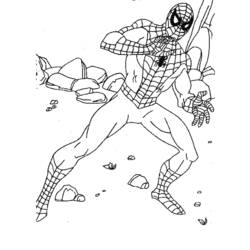 Malvorlage: Spider Man (Superheld) #78937 - Kostenlose Malvorlagen zum Ausdrucken