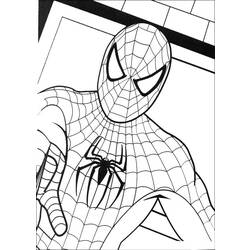 Malvorlage: Spider Man (Superheld) #78944 - Kostenlose Malvorlagen zum Ausdrucken