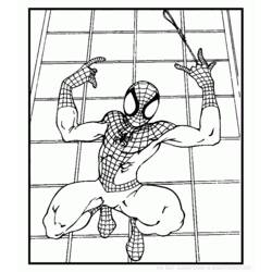 Malvorlage: Spider Man (Superheld) #78958 - Kostenlose Malvorlagen zum Ausdrucken