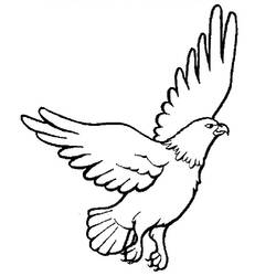 Malvorlage: Adler (Tiere) #275 - Kostenlose Malvorlagen zum Ausdrucken