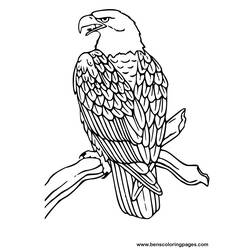 Malvorlage: Adler (Tiere) #279 - Kostenlose Malvorlagen zum Ausdrucken