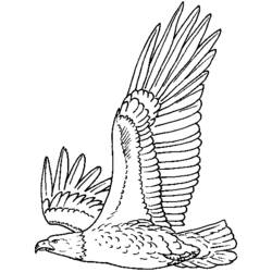 Malvorlage: Adler (Tiere) #280 - Kostenlose Malvorlagen zum Ausdrucken