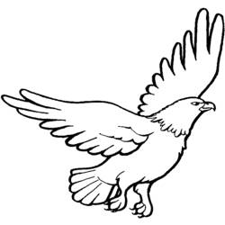 Zeichnungen zum Ausmalen: Adler - Druckbare Malvorlagen