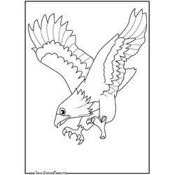Malvorlage: Adler (Tiere) #290 - Kostenlose Malvorlagen zum Ausdrucken