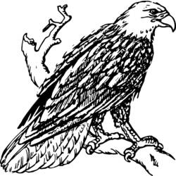 Malvorlage: Adler (Tiere) #292 - Kostenlose Malvorlagen zum Ausdrucken