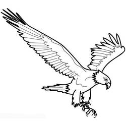 Malvorlage: Adler (Tiere) #294 - Kostenlose Malvorlagen zum Ausdrucken