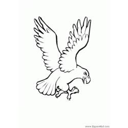 Malvorlage: Adler (Tiere) #303 - Kostenlose Malvorlagen zum Ausdrucken
