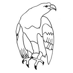Malvorlage: Adler (Tiere) #316 - Kostenlose Malvorlagen zum Ausdrucken