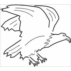 Malvorlage: Adler (Tiere) #317 - Kostenlose Malvorlagen zum Ausdrucken