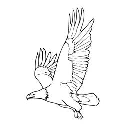 Malvorlage: Adler (Tiere) #329 - Kostenlose Malvorlagen zum Ausdrucken