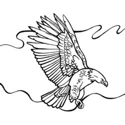 Malvorlage: Adler (Tiere) #333 - Kostenlose Malvorlagen zum Ausdrucken